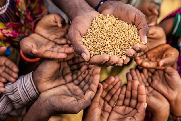 Hunger stalks southern Africa as climate crisis deepens