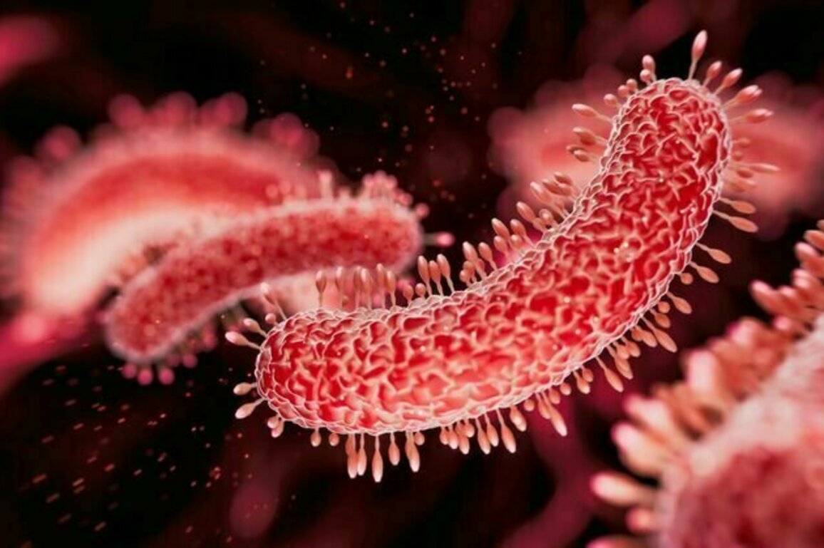 As tuberculosis cases rise in the US and worldwide, health officials puzzle over the resurgence of a disease once in decline