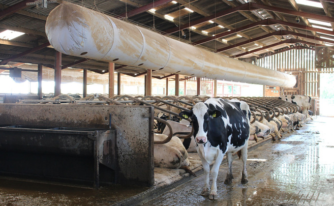 Gains in cow performance can be made by paying attention to the housed environment.