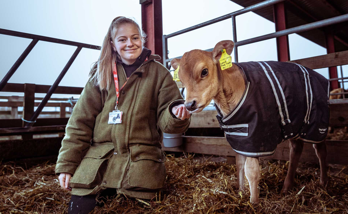 Barnsley College agriculture student Emily Hanson with one of the Jersey cows