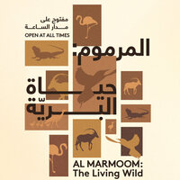 Dubai Culture launches environmental photography exhibition in Al Marmoom Desert Conservation Reserve