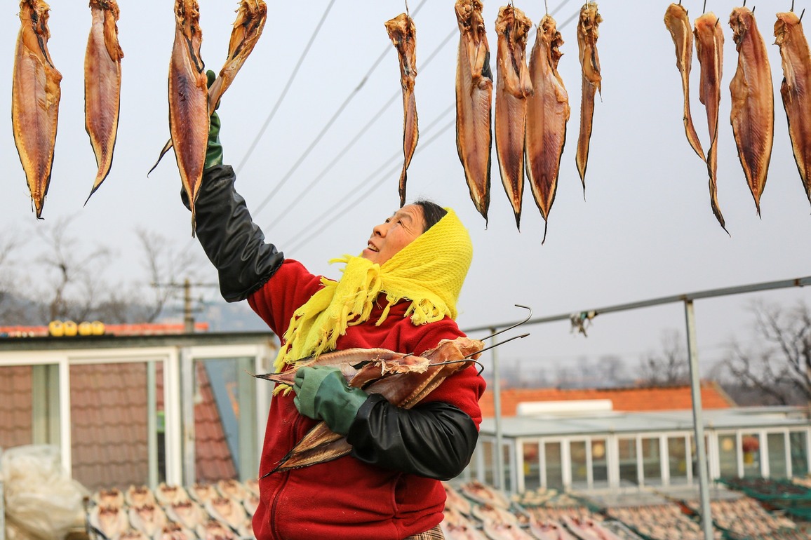 #CHINA-SHANDONG-JIMO-DRYING FISH (CN)