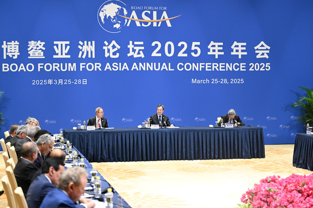 CHINA-HAINAN-BOAO-DING XUEXIANG-BFA-BOARD OF DIRECTORS-MEETING (CN)