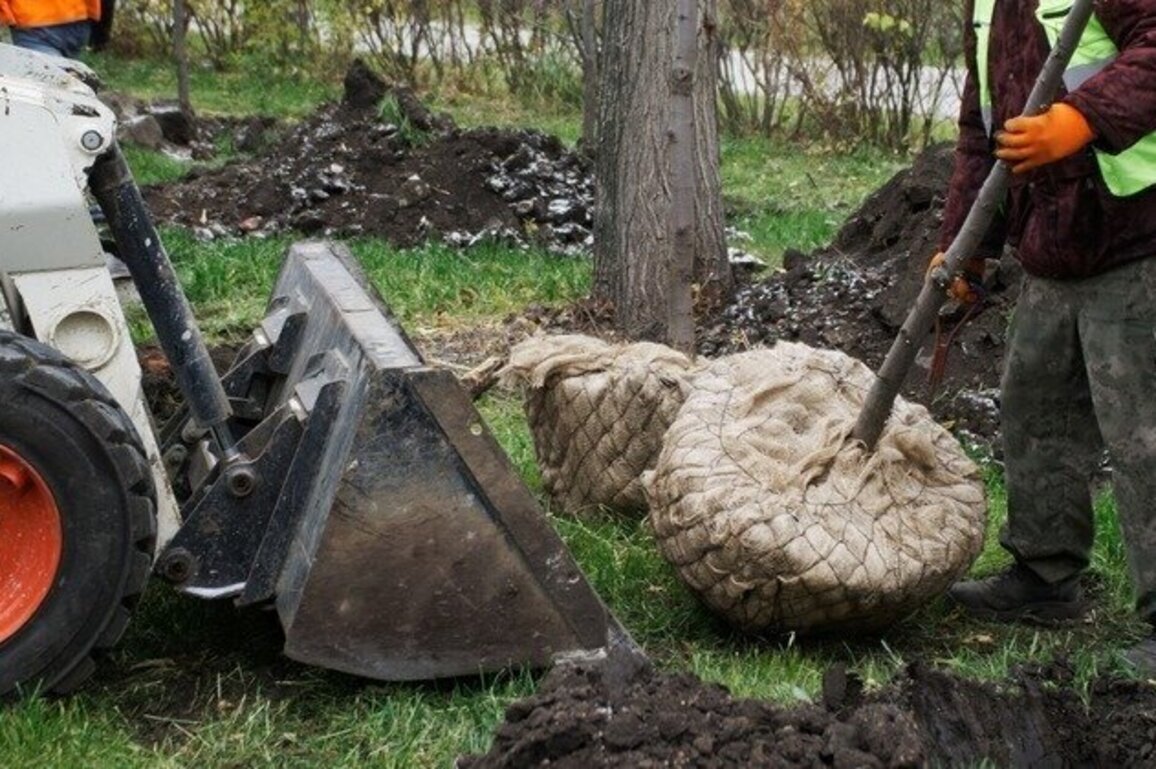Public works projects in Minnesota to take flight  