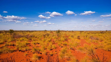 The Laverton area is a hotbed of gold exploration and development activity. Credit: Magnetic Resources