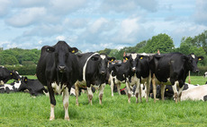 Data capture potential to improve herd health and performance
