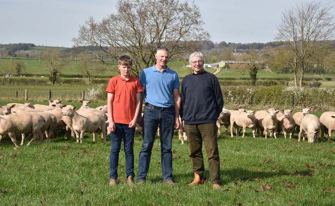 Left to right: Tom, Stephen and Charles Marwood with Charollais tups at Whenby, North Yorkshire Left to right: Tom, Stephen and Charles Marwood with Charollais tups at Whenby, North Yorkshire