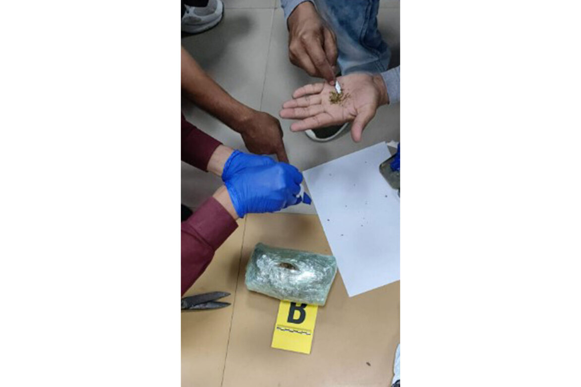 CISF seizes 420 grams of suspected cannabis during baggage screening at Imphal airport