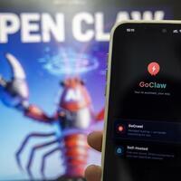 Explainer: In OpenClaw frenzy, should we be cheery or worried?