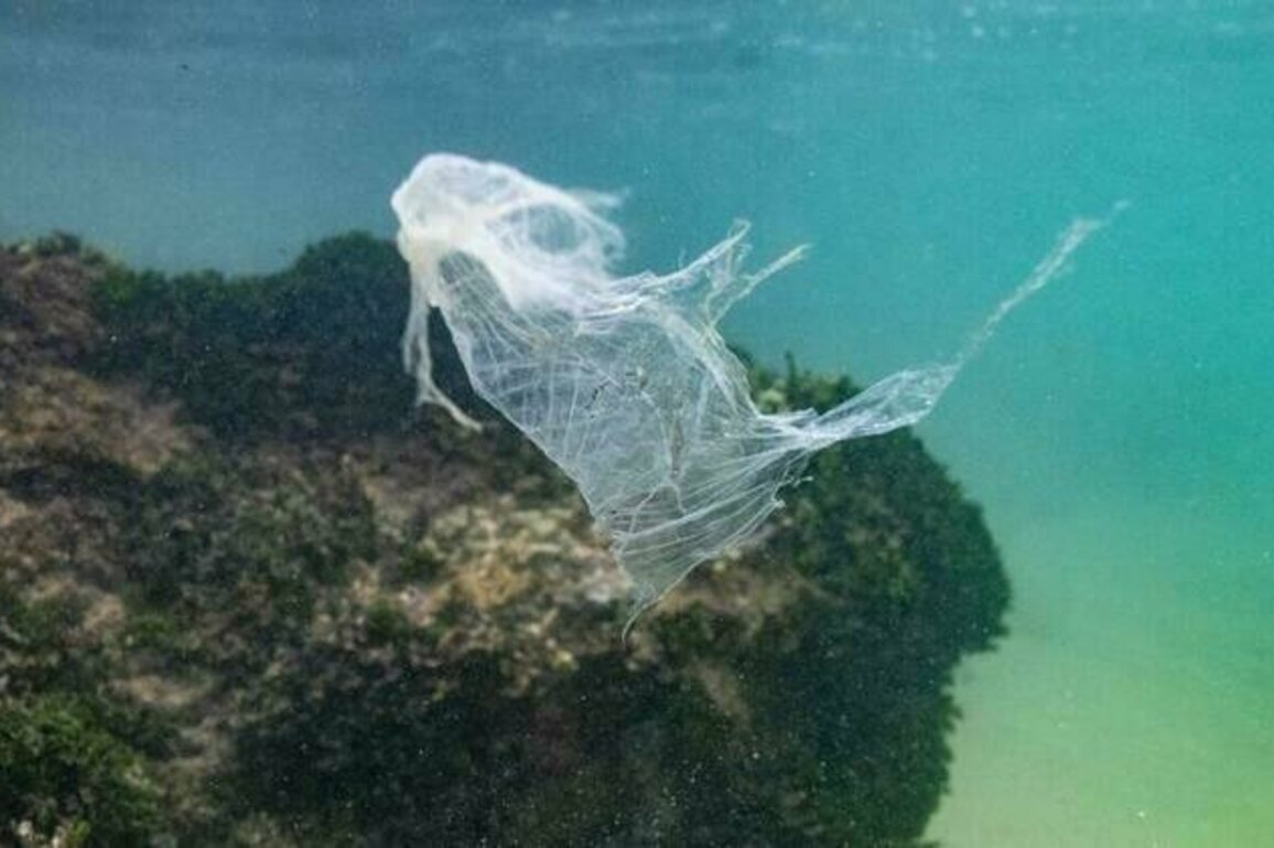 Clock ticks down on global plastic pollution treaty
