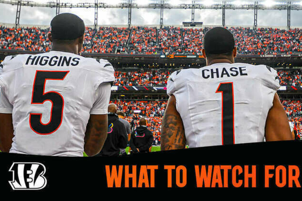 What to Watch For | Lions vs. Bengals Week 5