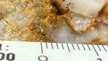 Visible gold from Trunkey Creek 