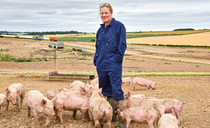 Free-range pig enterprise delivers real farm to fork journey 