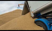  Report any illegal grain dumping in Victoria. 