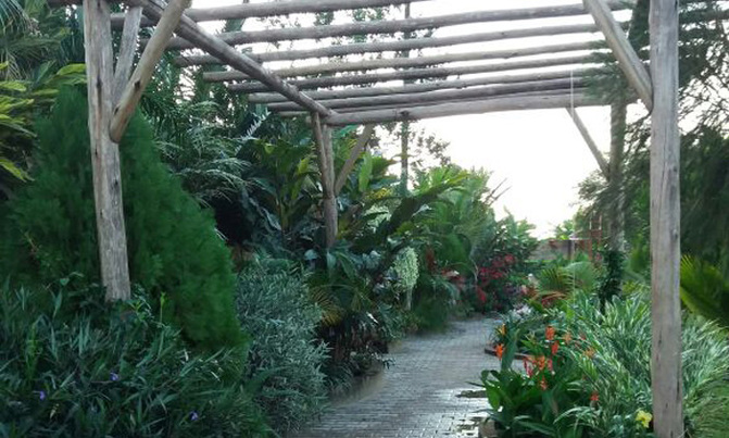 A pergola adds splendour to your crib A pergola adds splendour to your crib