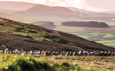 Scottish farmer hopes new audit app will 'streamline' process