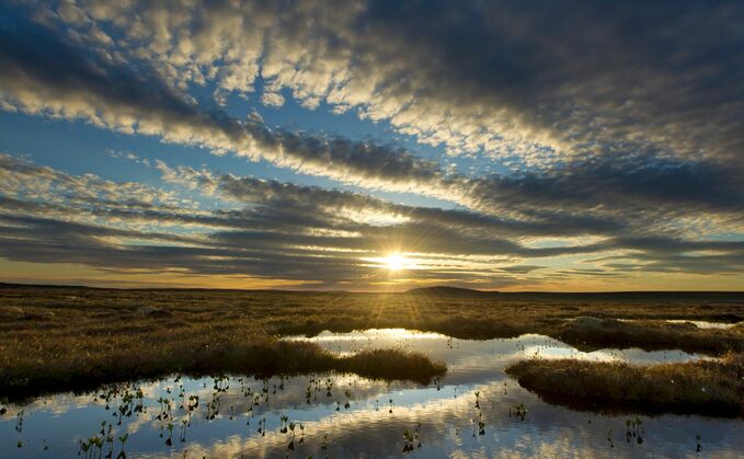 Peatland is a critical cabon store | Credit: Mark Hamblin, Wildlife Trusts