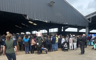 'Once the people get out on the farm, they love it' – farms open their doors for Open Farm Sunday