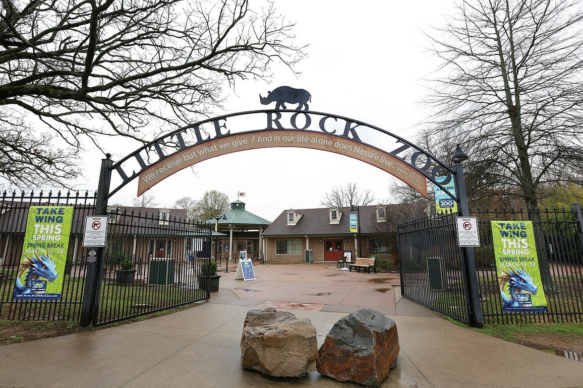 Little Rock Zoo to hold centennial celebration on Saturday - Northwest Arkansas Democrat-Gazette