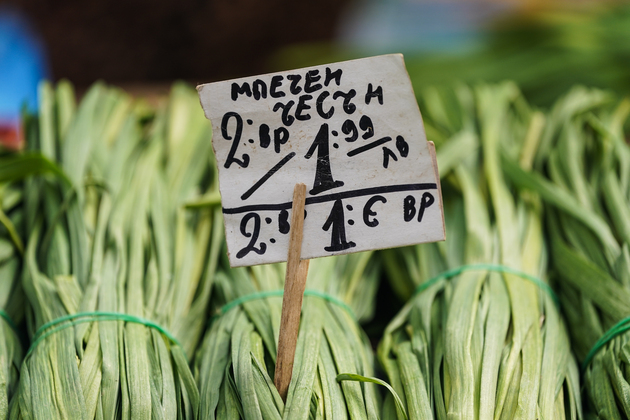 BULGARIA-SOFIA-EUROZONE-SHORT TRANSITION PERIOD