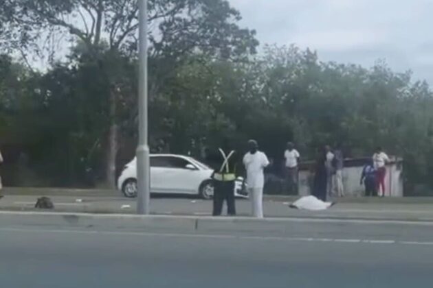 Roads and Parks Worker John Altidor struck dead by high-speed driver on JFK