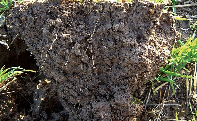 Government must take soil health seriously