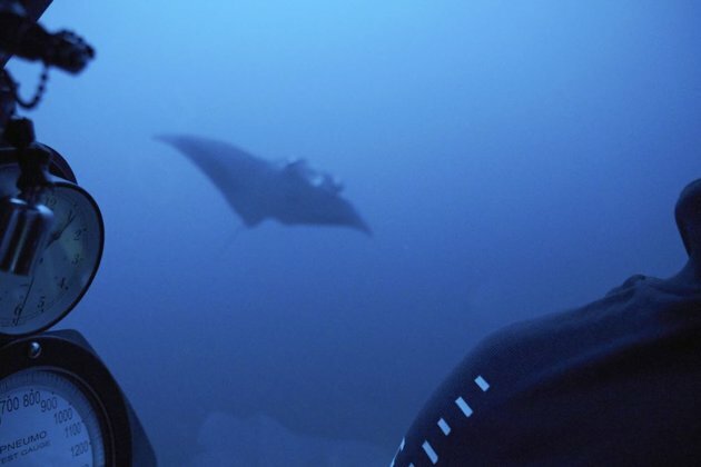 Groundbreaking Indian Ocean Science Mission Reaches an End