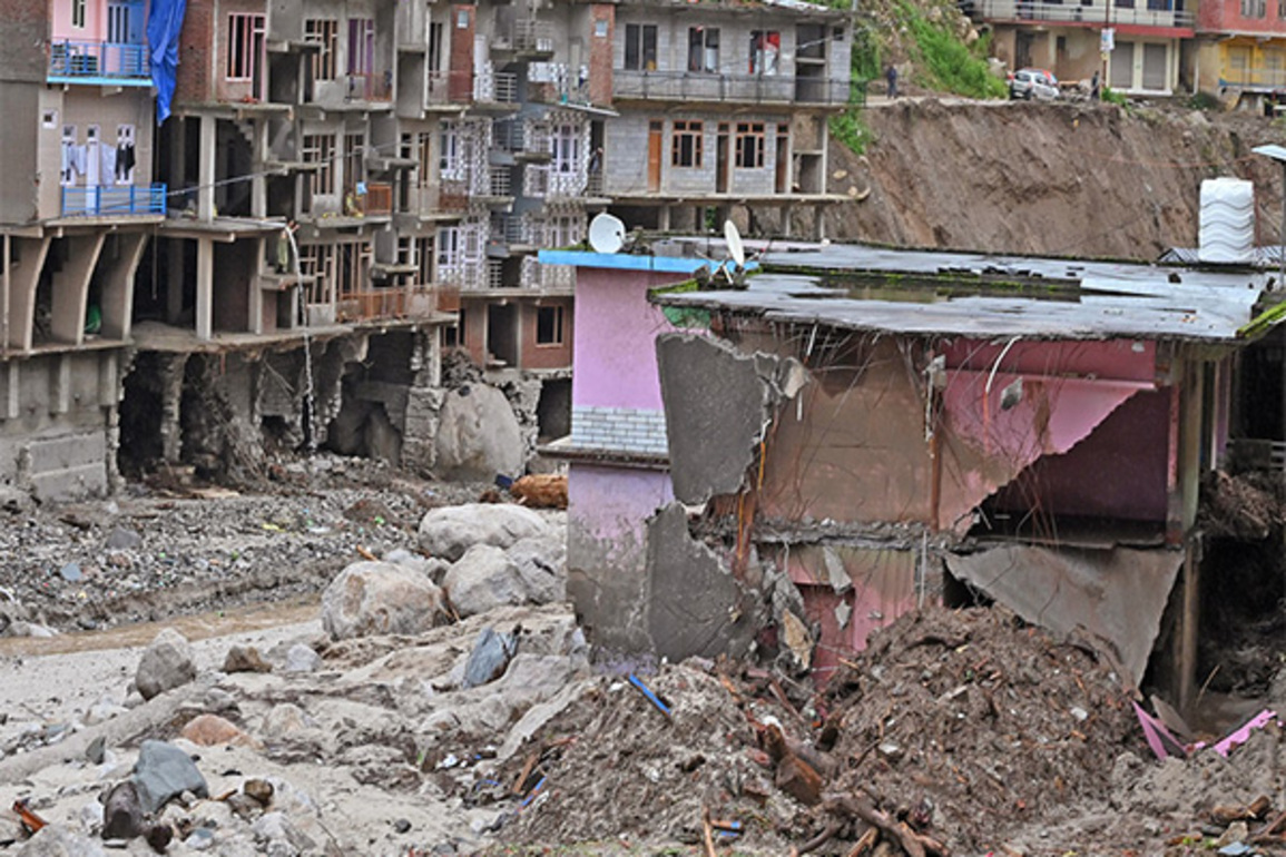 Heavy rains continue in Himachal: Tree falls near Sanjauli, vehicles damaged; forest team responds amid ongoing downpour