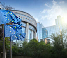 'Concrete and significant step': European Council formally adopts sweeping corporate due diligence rules