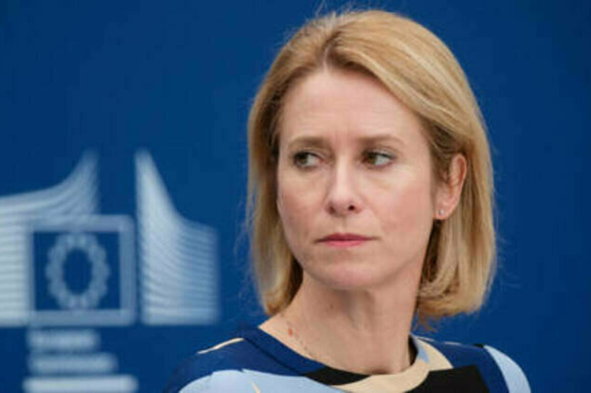 Russians are winners - top EU diplomat