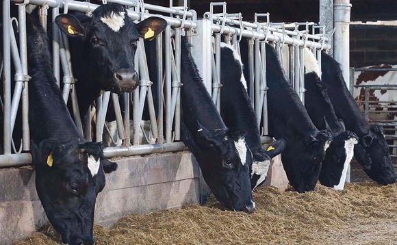 Covid-19 wipes £20m from dairy sector