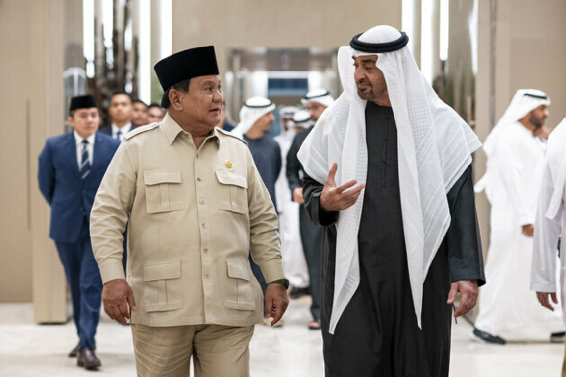 UAE, Indonesian Presidents discuss bilateral relations, development of comprehensive economic partnership