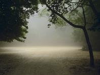 The critical challenges in today's CIP landscape