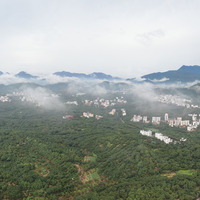 LensToLens | Chinese lychees captivate Dubai