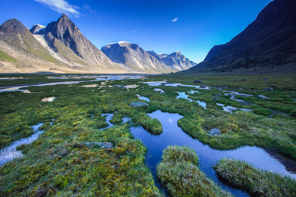 Junior explorer surges on deal for 'forgotten' Canadian gold ground