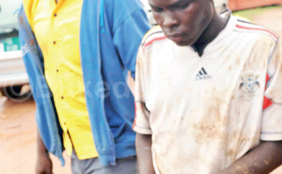 Omuvubuka agambibwa okubba embaawo (ku ddyo) nga bamutwala ku poliisi. Omuvubuka agambibwa okubba embaawo (ku ddyo) nga bamutwala ku poliisi.