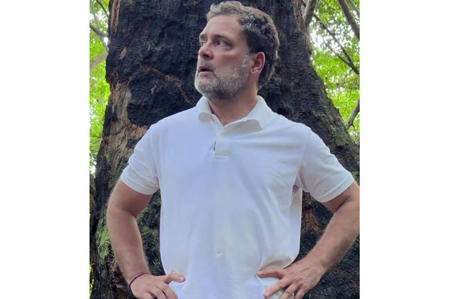 Rahul Gandhi alleges "destruction dressed in development's language" in Great Nicobar, calls project a 'scam'