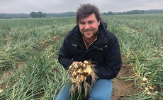 Tom Abrey, onion supplier, Norfolk