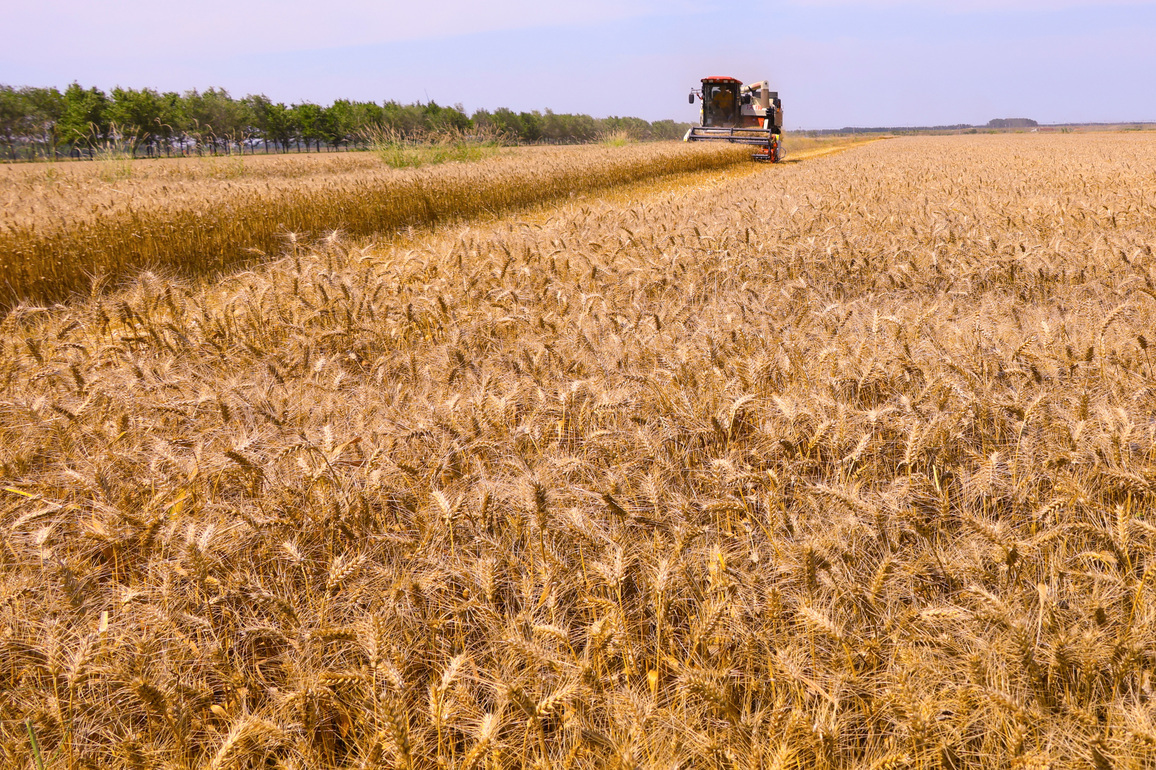 #CHINA-JIANGSU-WHEAT HARVEST (CN)
