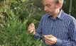 Rapid test could help manage herbicide resistance