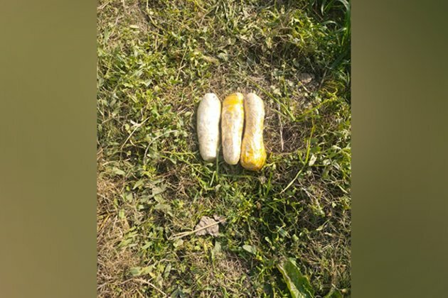 Punjab: BSF recovers 3 kg heroin in Ferozepur