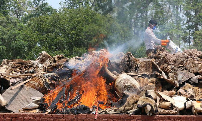 One million species risk extinction due to humans One million species risk extinction due to humans