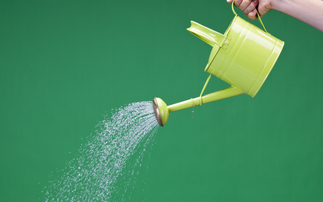 Want to hire an adviser? Just grow your own