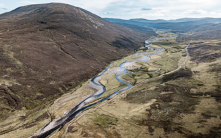  Oxygen Conservation acquires BrewDog's 10,000 acre Lost Forest rewilding project