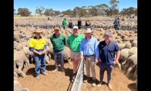 Left to right: Gavin Morgan, Doodlakine, WA, vendor, Aaron Caldwell, Livestock and Land Merredin, WA, Jake Finlayson, Livestock and Land Cunderdin, WA, Zeb Broadbent and Alex Pollock from McKean McGregor, Bendigo, Victoria, at the Merredin ewe sale last week in WA..