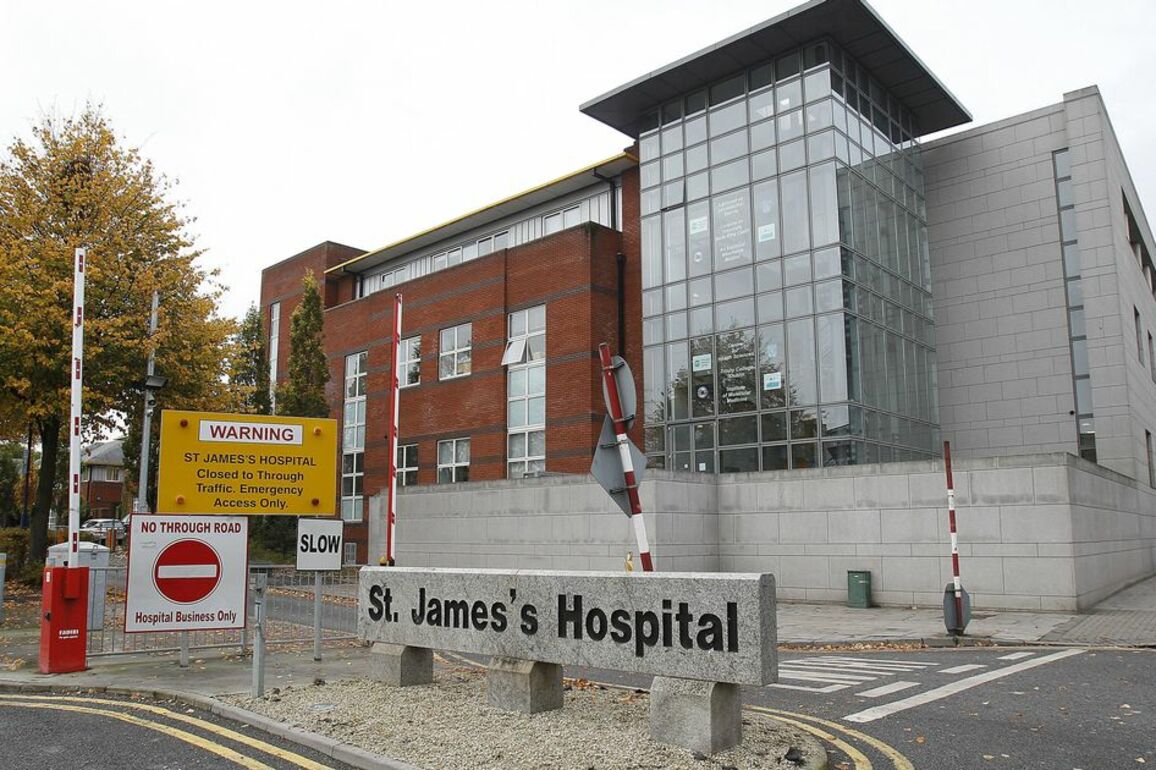 Man, 50s, rushed to hospital after Dublin dog attack