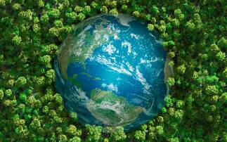 The year in review: Progress in sustainable business, but too little and too slow