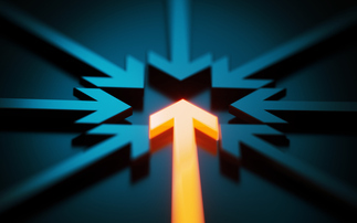 Consolidators under scrutiny: Reputation, regulation and a transforming market