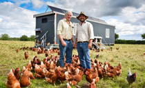 Five-year regenerative journey drives success for North Yorkshire family farm