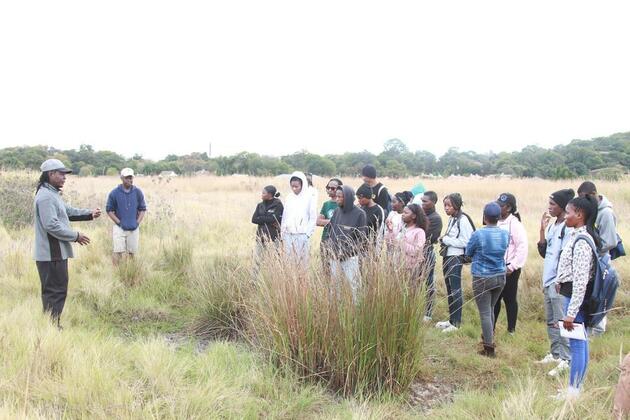 (Hello Africa) Wetland preservation promotes healthy ecosystems in Zimbabwe's capital